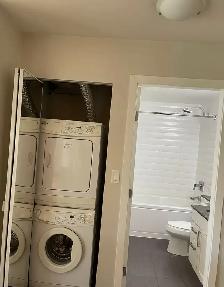 1 BR and a Den  for Rent - Photo 8