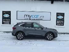 2024 Ford Escape Platinum - Photo 2