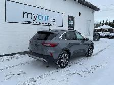 2024 Ford Escape Platinum - Photo 3