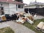 Junk removal 647-920-7509 - Photo 5