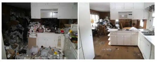 Junk removal 647-920-7509 - Photo 7