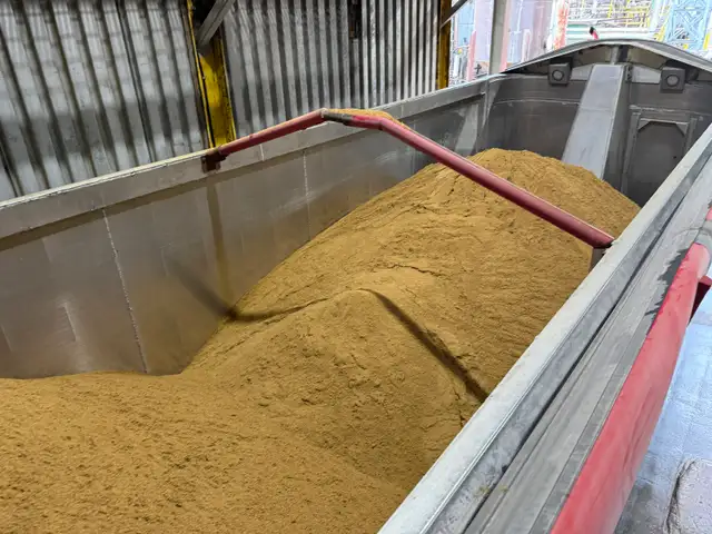 AZ DRIVER SEEKS work - Photo 3