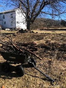 landscaping and yard clean