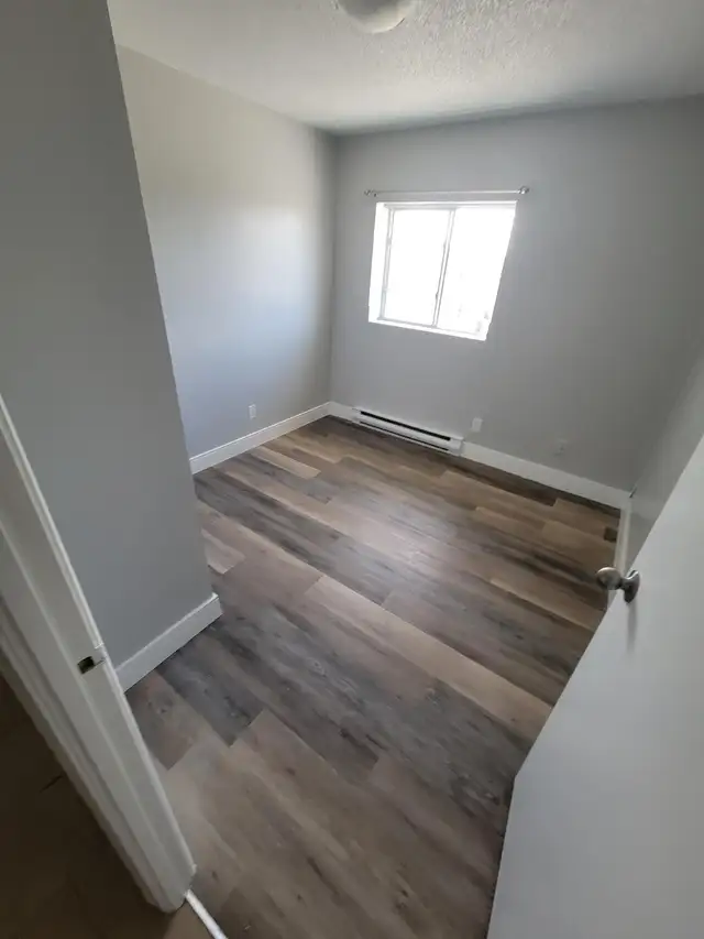 3 Bedroom Apartment Available May 1st in Minnow Lake Area - Photo 6