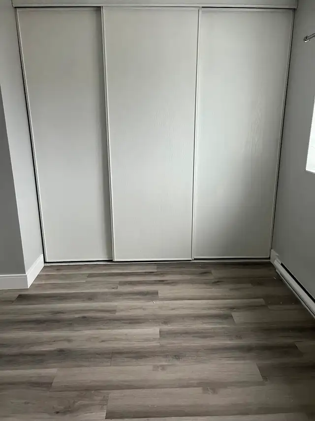 3 Bedroom Apartment Available May 1st in Minnow Lake Area - Photo 9