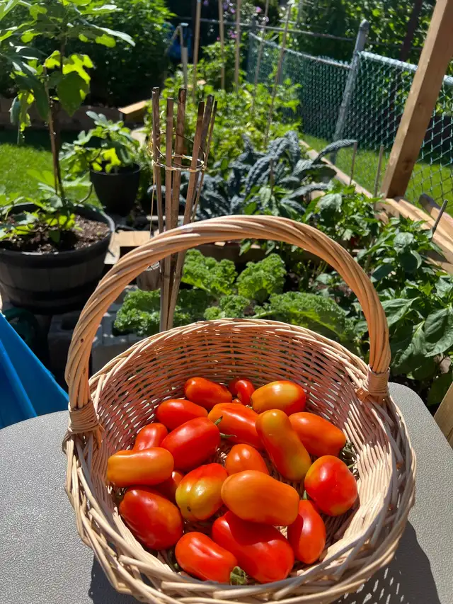 spring Cleaning and junk removal.