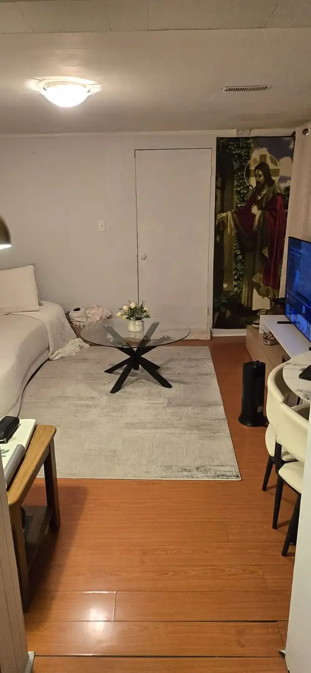 One Bedroom basement apartment - Yonge and Steels - Photo 3