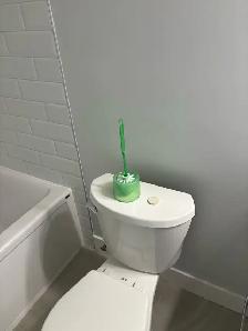 Jasmine cleaning - Photo 8