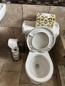 Jasmine cleaning - Photo 10