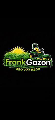 Tonte Gazon & Entretien Extérieur