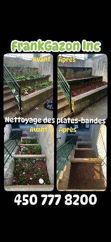 Tonte Gazon & Entretien Extérieur - Photo 3