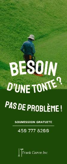 Tonte Gazon & Entretien Extérieur - Photo 5