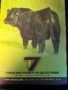 First Annual Black Simmental and Black Angus Bull Sale!