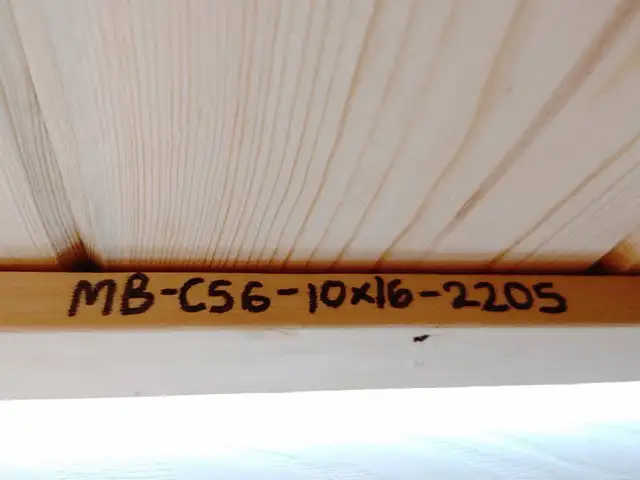 10x16 Guest Cabin - Photo 5