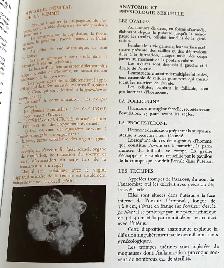 LA NATURE MÉDECIN ( Tome 1 et 2 ) - Photo 5