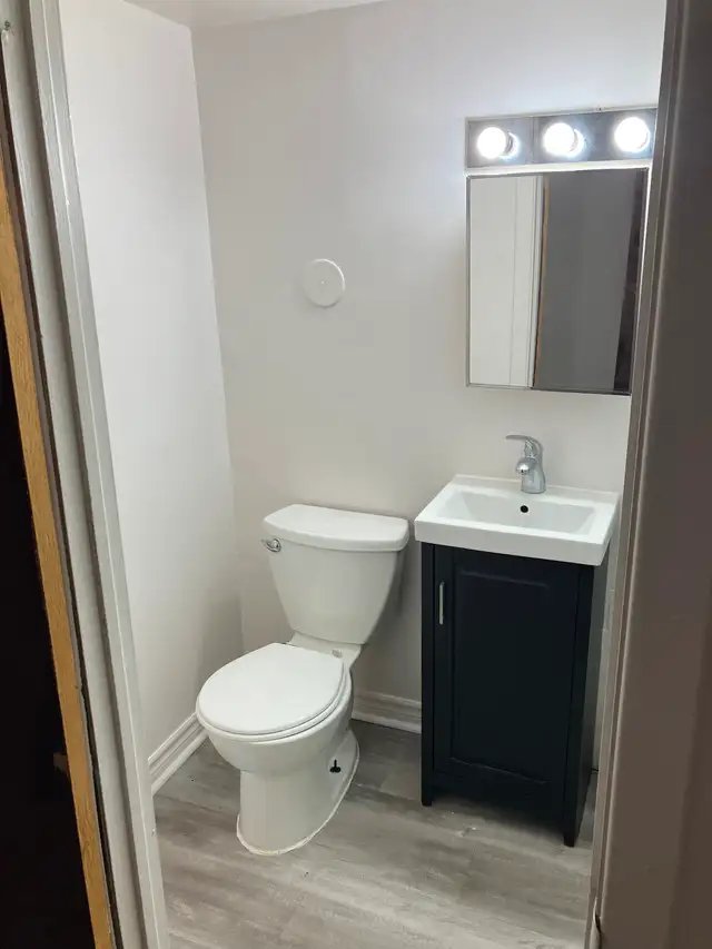 Sandy Hill Basement Bachelor/Studio Apartment (257 Daly Ave) - Photo 4