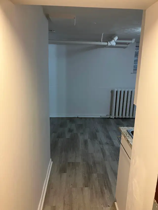 Sandy Hill Basement Bachelor/Studio Apartment (257 Daly Ave) - Photo 5