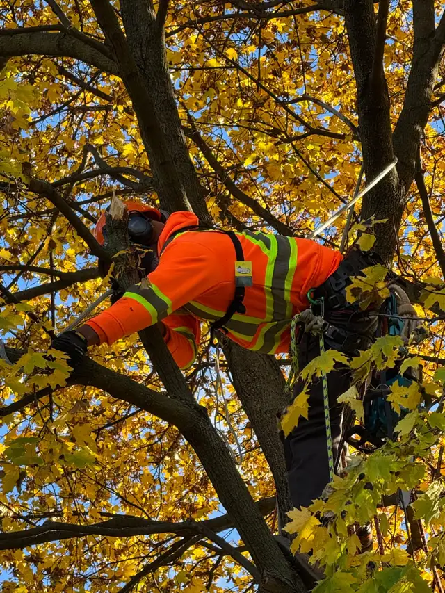 Spring cleaning - Photo 2