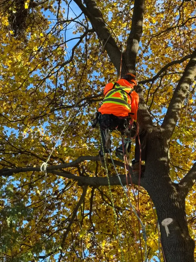 Spring cleaning - Photo 3