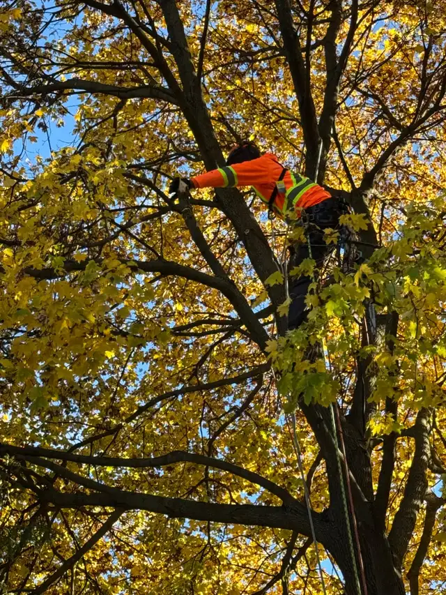 Spring cleaning - Photo 4