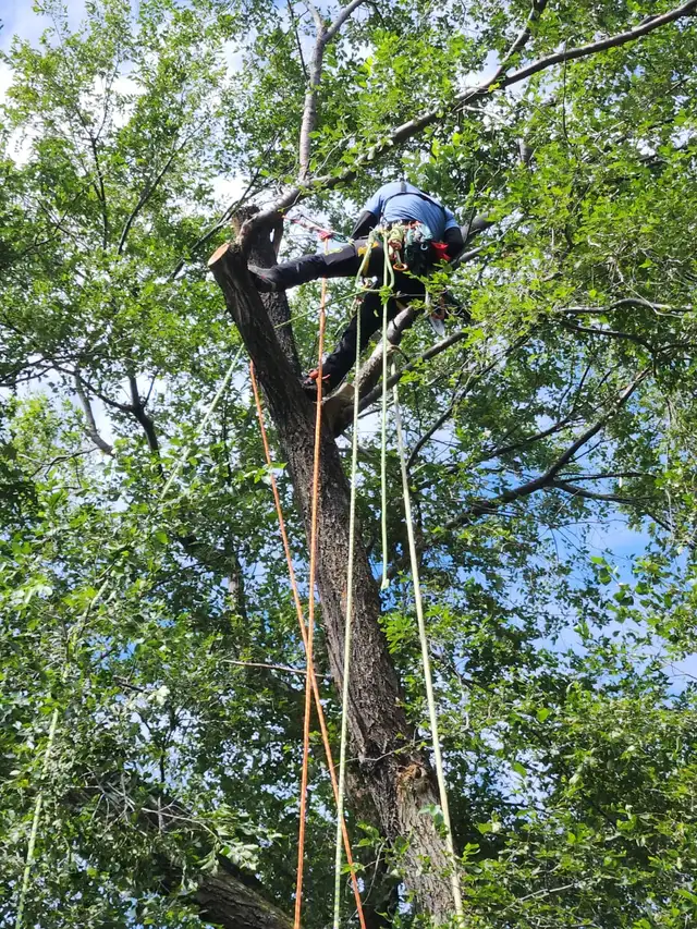 Spring cleaning - Photo 5