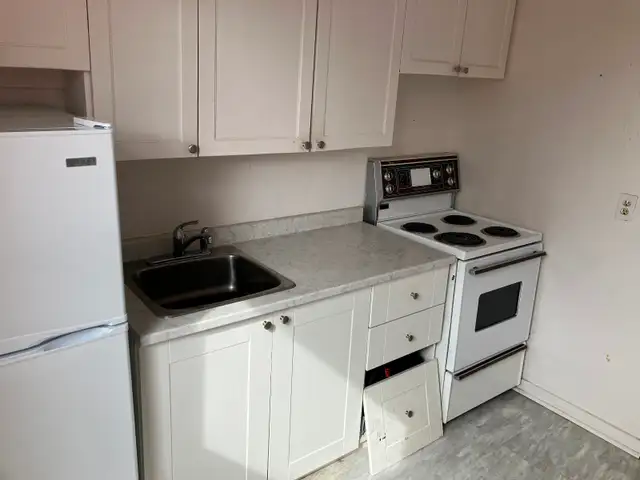 1 Bedroom Sandy Hill Apartment for Rent (508 Besserer St) - Photo 4