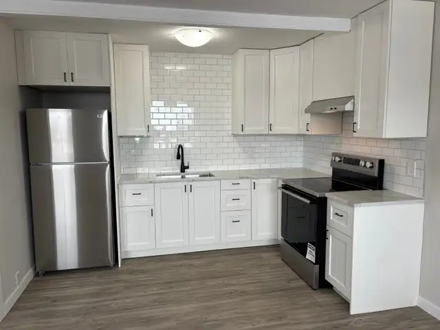 Bright & Spacious 2 Bed. Apt. North Side New Floor/Paint/Kitche - Photo 2