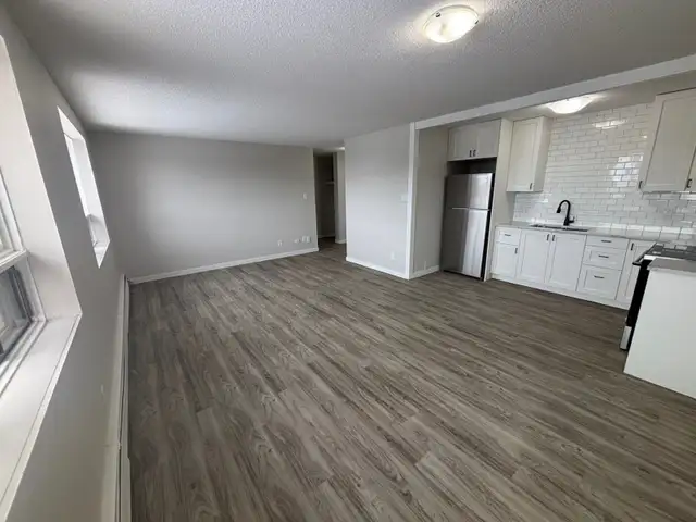 Bright & Spacious 2 Bed. Apt. North Side New Floor/Paint/Kitche - Photo 3