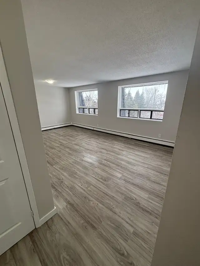 Bright & Spacious 2 Bed. Apt. North Side New Floor/Paint/Kitche - Photo 4