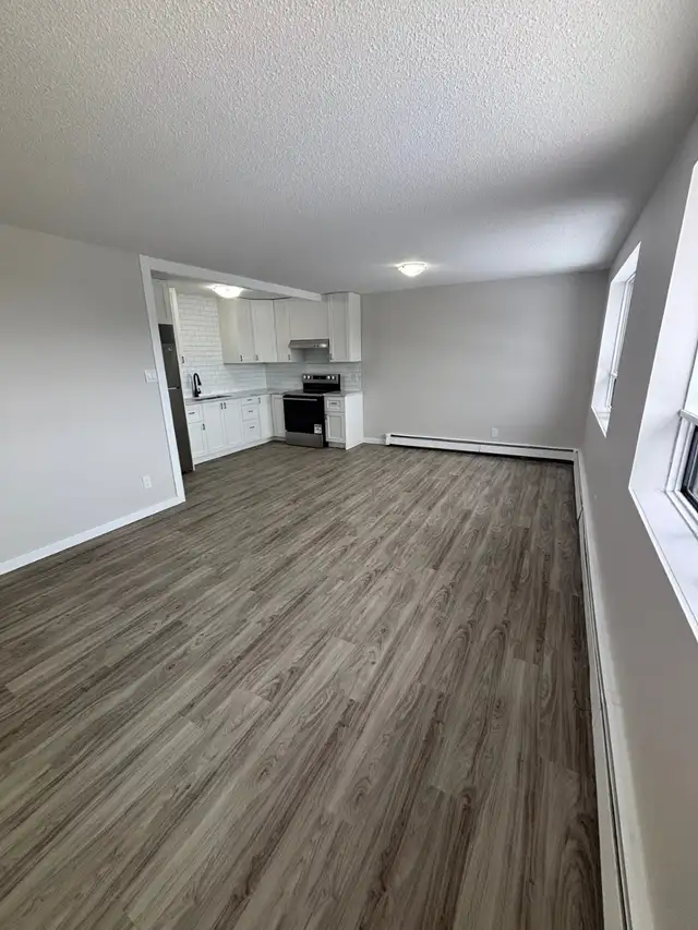 Bright & Spacious 2 Bed. Apt. North Side New Floor/Paint/Kitche - Photo 5