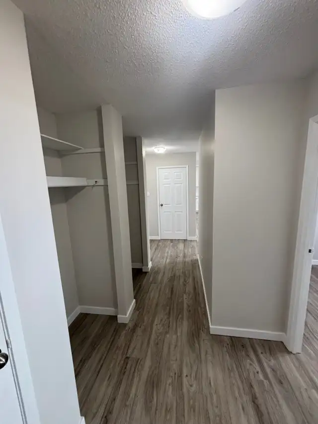 Bright & Spacious 2 Bed. Apt. North Side New Floor/Paint/Kitche - Photo 6