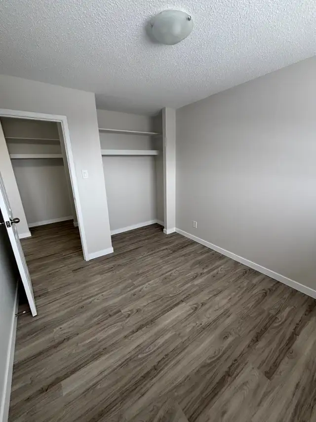 Bright & Spacious 2 Bed. Apt. North Side New Floor/Paint/Kitche - Photo 7