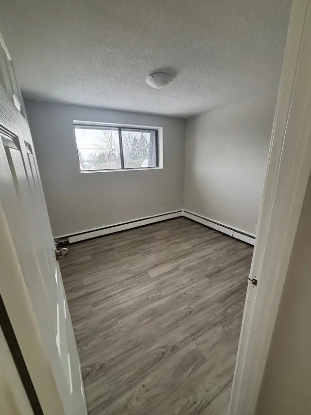 Bright & Spacious 2 Bed. Apt. North Side New Floor/Paint/Kitche - Photo 9