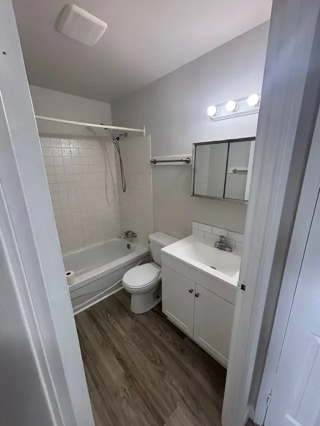 Bright & Spacious 2 Bed. Apt. North Side New Floor/Paint/Kitche - Photo 10