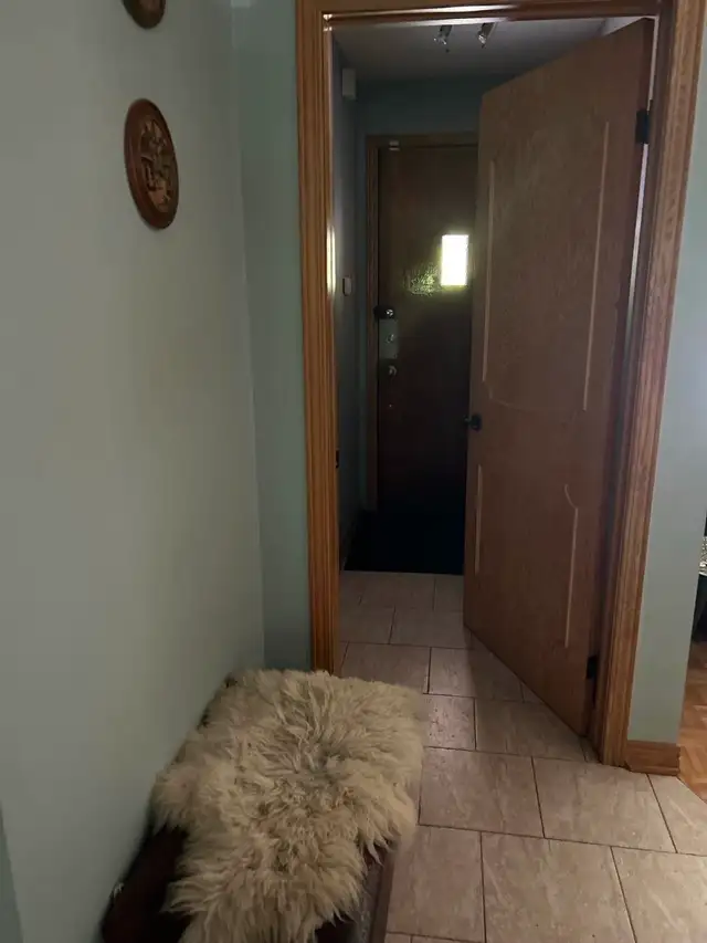 RDC 5 1/2 Anjou a louer - Photo 3