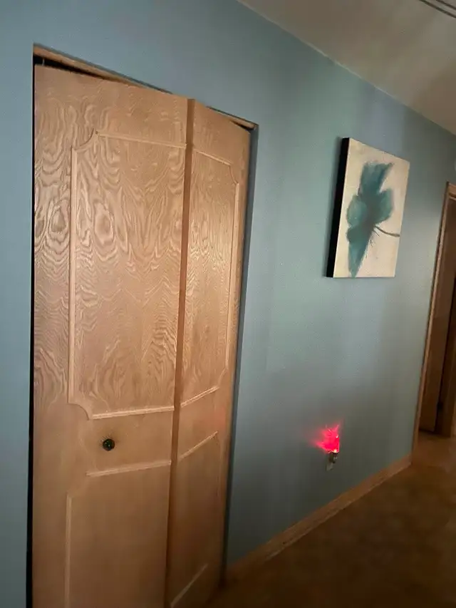 RDC 5 1/2 Anjou a louer - Photo 5