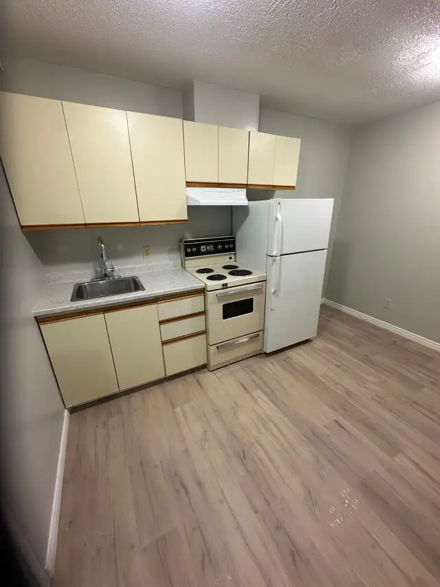 Bachelor Available now in Minnow Lake