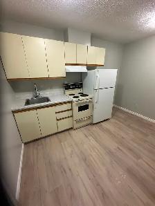 Bachelor Available now in Minnow Lake