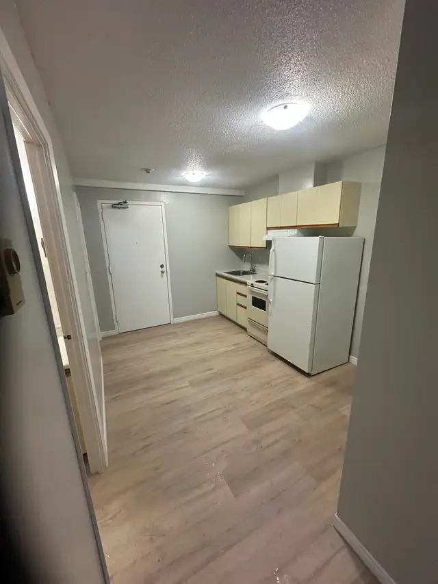 Bachelor Available now in Minnow Lake - Photo 2