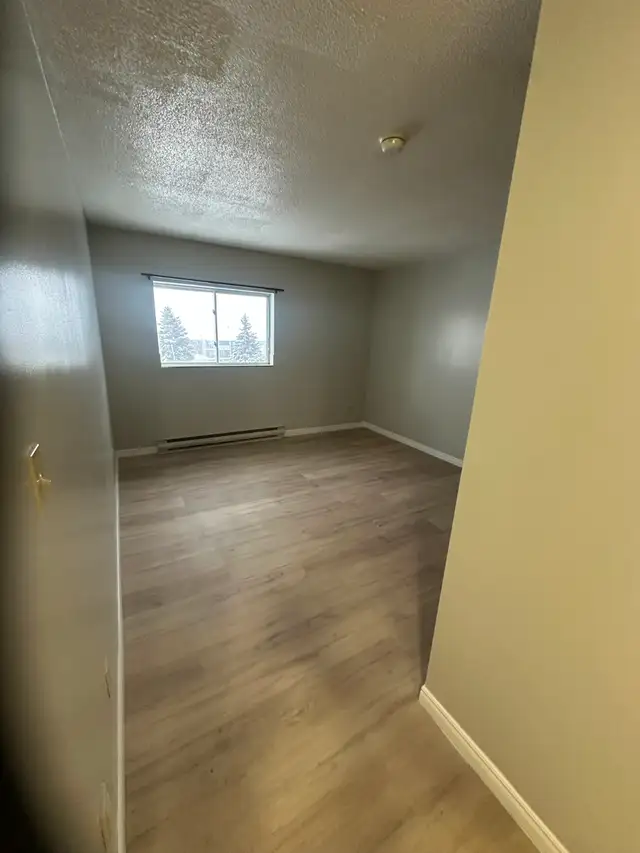 Bachelor Available now in Minnow Lake - Photo 3