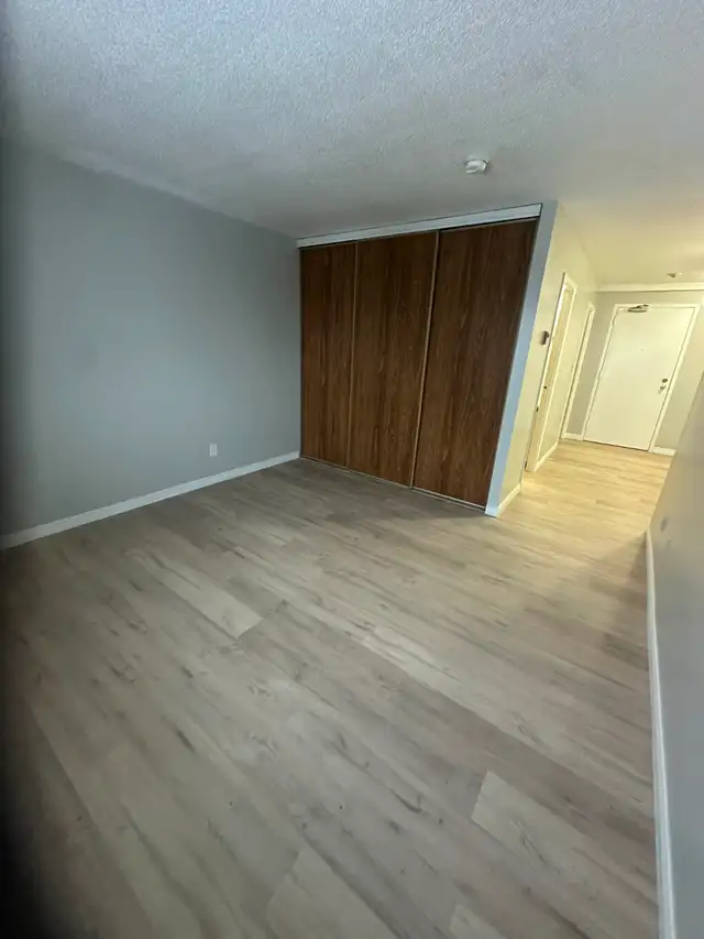 Bachelor Available now in Minnow Lake - Photo 4