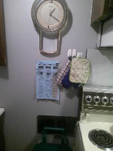 $825.00 FURNISHED BASEMENT SUITE BY WEST EDM. MALL