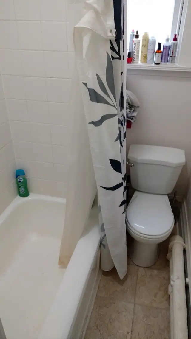 Centretown Bachelor/Studio Apartment for Rent (436 Lisgar St) - Photo 3