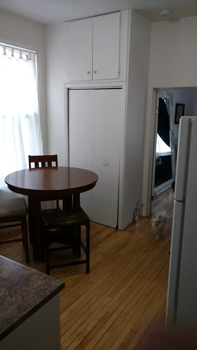 Centretown Bachelor/Studio Apartment for Rent (436 Lisgar St) - Photo 8