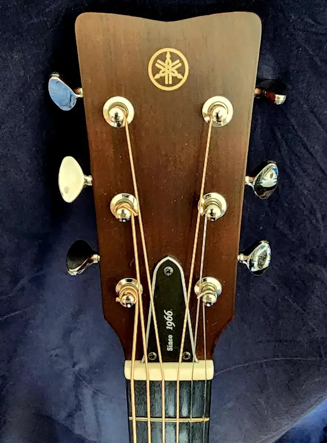 YAMAHA FGX 5 RED LABEL - Photo 6