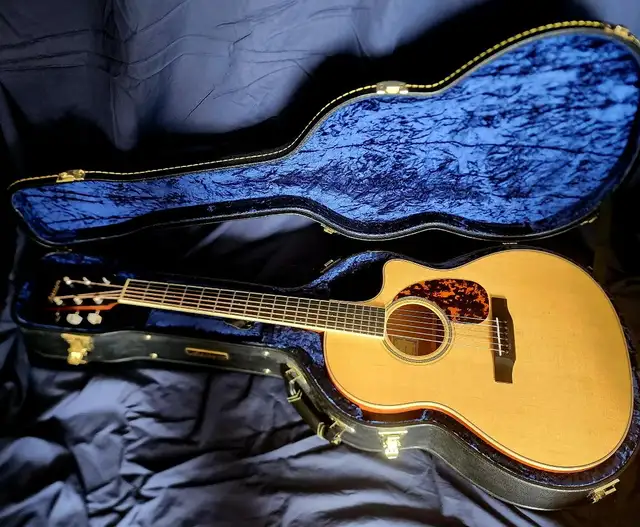 LARRIVEE LV-3  RARE - Photo 2