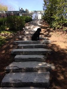 LANDSCAPE/RETAINING WALL ARMOUR STONE FOR SALE GREAT PRICE - Photo 9