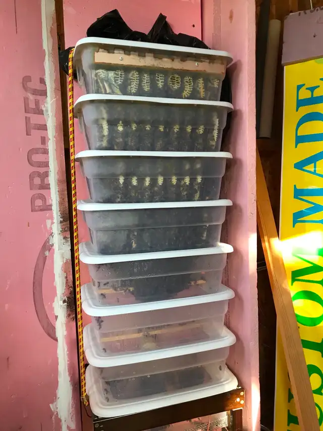 Complete Beekeeping Business with Full Training - Photo 3