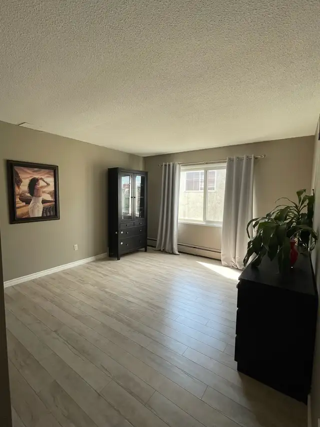 FOR RENT 1 & 2 Bd Apartment 11916 105 St Edmonton - Photo 3