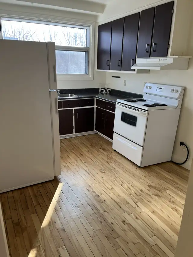 SPACIOUS 3.5 JUST FINIS RENOV. PRIME LOCATION - Photo 6